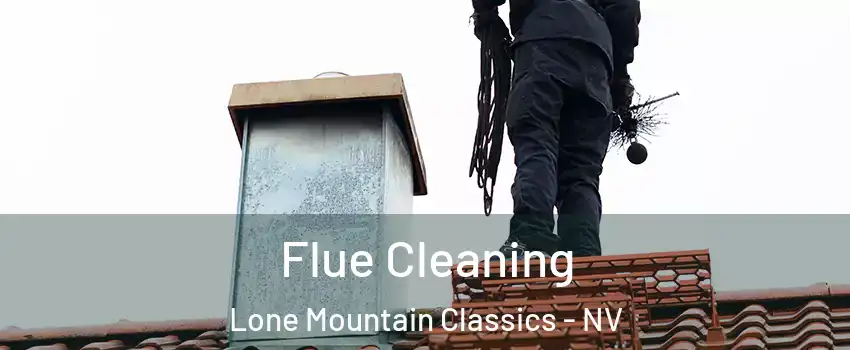Flue Cleaning Lone Mountain Classics - NV