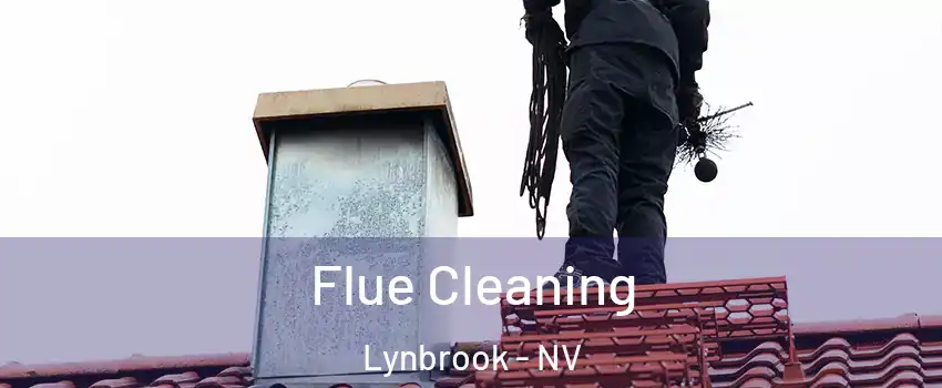 Flue Cleaning Lynbrook - NV