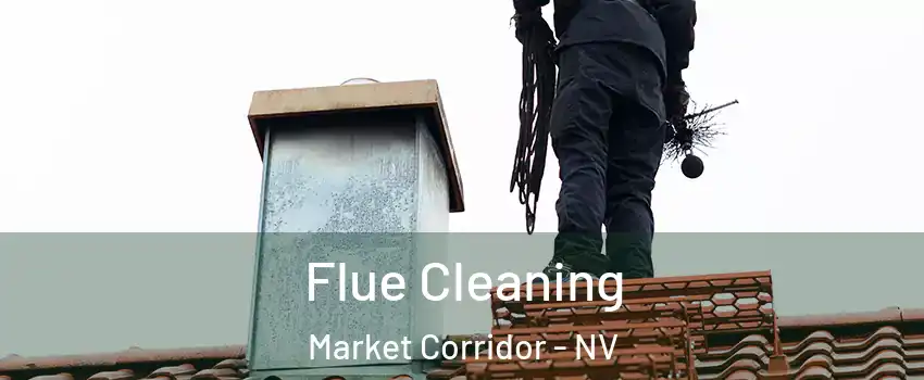 Flue Cleaning Market Corridor - NV