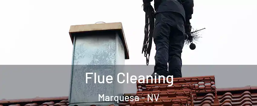Flue Cleaning Marquesa - NV