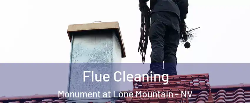 Flue Cleaning Monument at Lone Mountain - NV