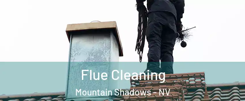 Flue Cleaning Mountain Shadows - NV