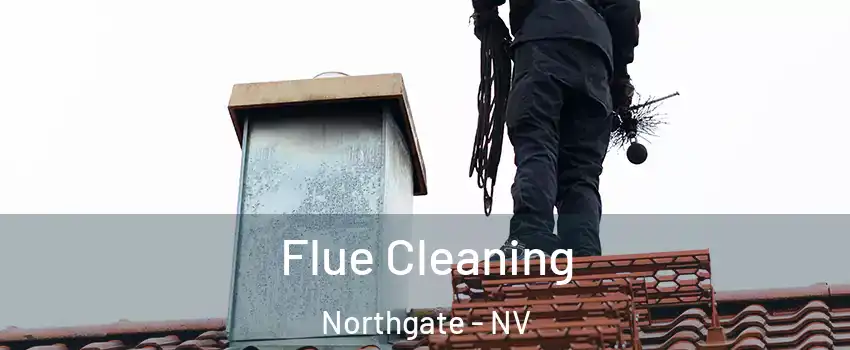 Flue Cleaning Northgate - NV