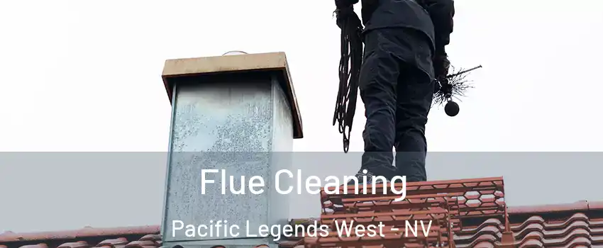 Flue Cleaning Pacific Legends West - NV