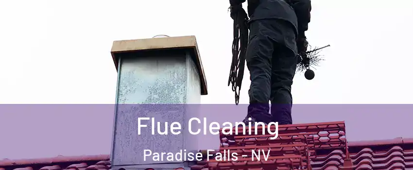 Flue Cleaning Paradise Falls - NV