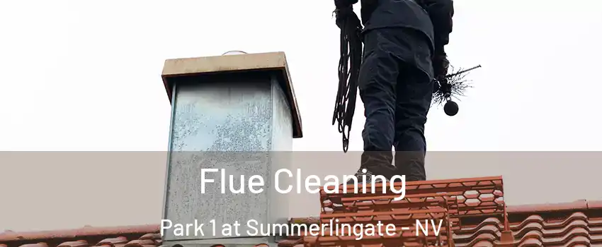 Flue Cleaning Park 1 at Summerlingate - NV