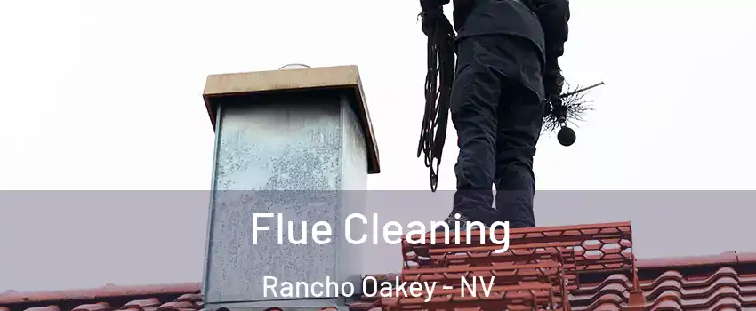 Flue Cleaning Rancho Oakey - NV