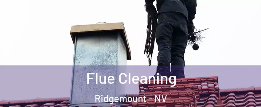 Flue Cleaning Ridgemount - NV