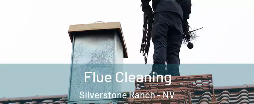 Flue Cleaning Silverstone Ranch - NV