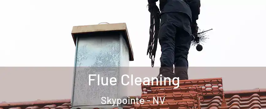 Flue Cleaning Skypointe - NV