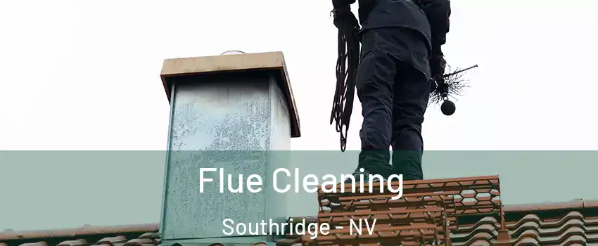 Flue Cleaning Southridge - NV