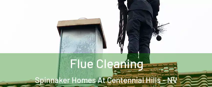 Flue Cleaning Spinnaker Homes At Centennial Hills - NV