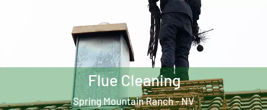 Flue Cleaning Spring Mountain Ranch - NV