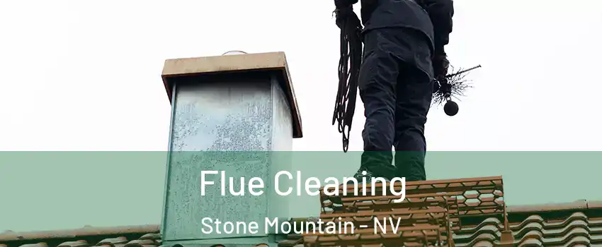 Flue Cleaning Stone Mountain - NV