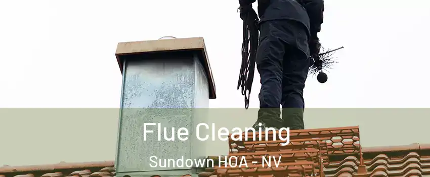 Flue Cleaning Sundown HOA - NV