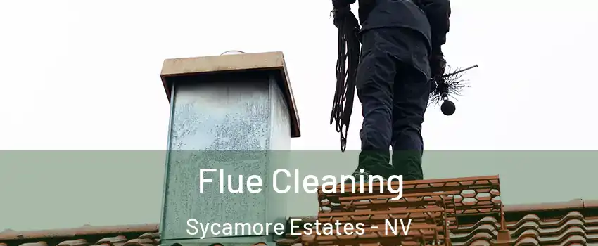 Flue Cleaning Sycamore Estates - NV