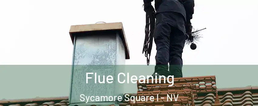 Flue Cleaning Sycamore Square I - NV
