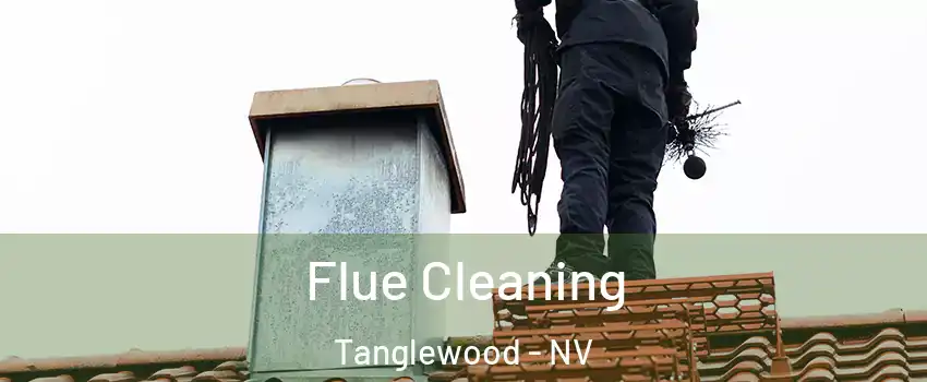 Flue Cleaning Tanglewood - NV