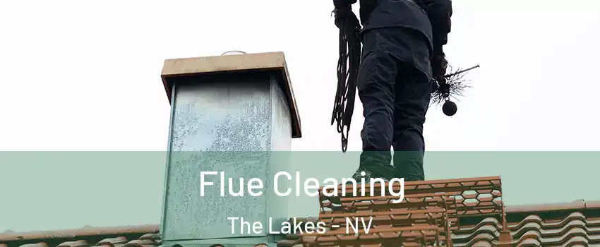 Flue Cleaning The Lakes - NV