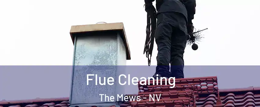 Flue Cleaning The Mews - NV
