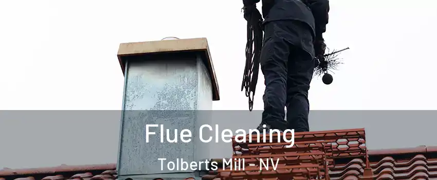 Flue Cleaning Tolberts Mill - NV