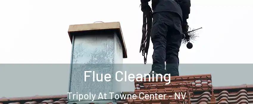 Flue Cleaning Tripoly At Towne Center - NV