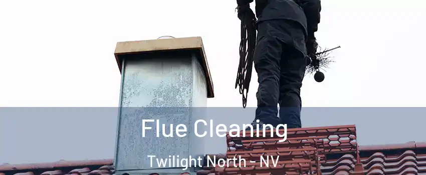 Flue Cleaning Twilight North - NV