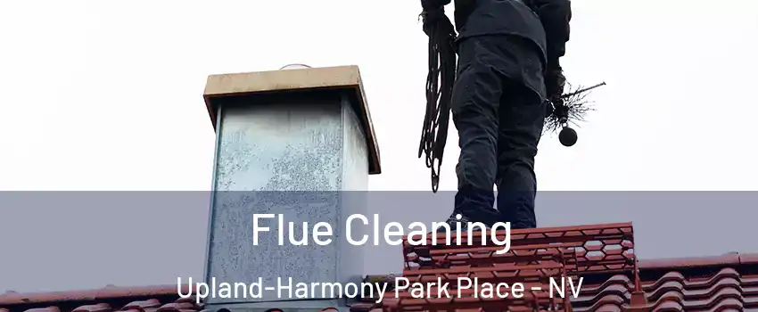 Flue Cleaning Upland-Harmony Park Place - NV