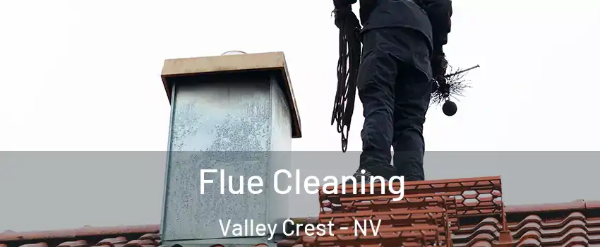 Flue Cleaning Valley Crest - NV