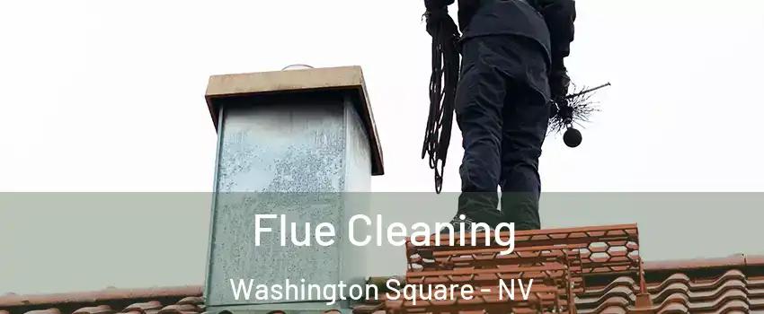 Flue Cleaning Washington Square - NV