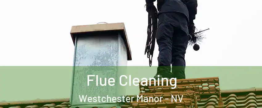 Flue Cleaning Westchester Manor - NV