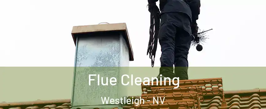 Flue Cleaning Westleigh - NV