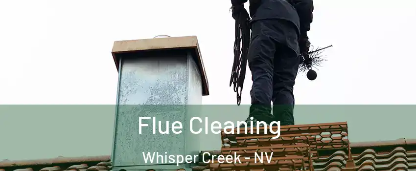 Flue Cleaning Whisper Creek - NV