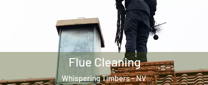 Flue Cleaning Whispering Timbers - NV