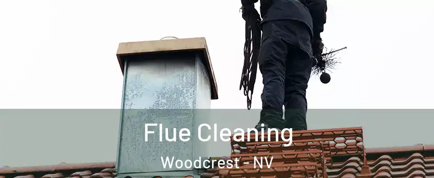 Flue Cleaning Woodcrest - NV