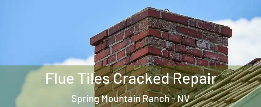 Flue Tiles Cracked Repair Spring Mountain Ranch - NV