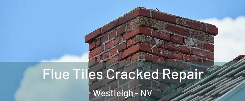 Flue Tiles Cracked Repair Westleigh - NV