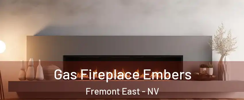 Gas Fireplace Embers Fremont East - NV