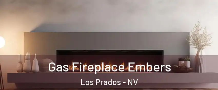 Gas Fireplace Embers Los Prados - NV