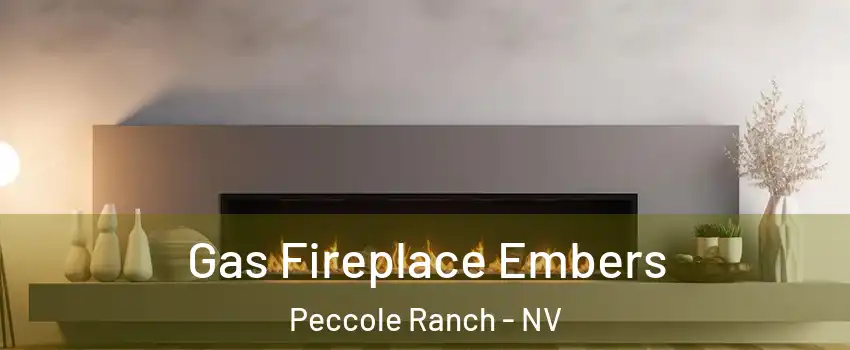 Gas Fireplace Embers Peccole Ranch - NV