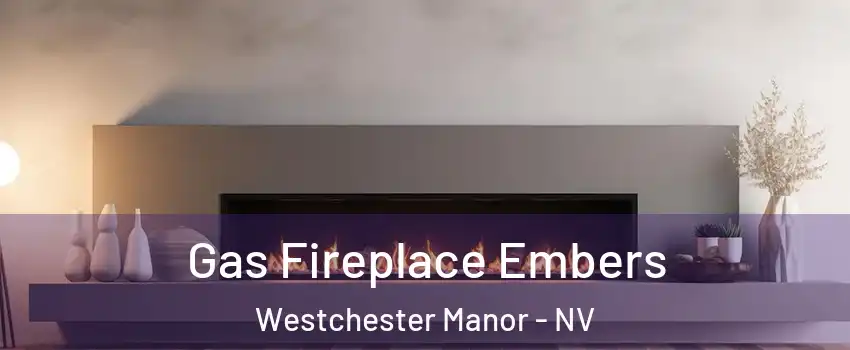 Gas Fireplace Embers Westchester Manor - NV