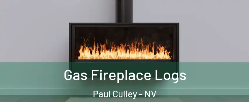 Gas Fireplace Logs Paul Culley - NV