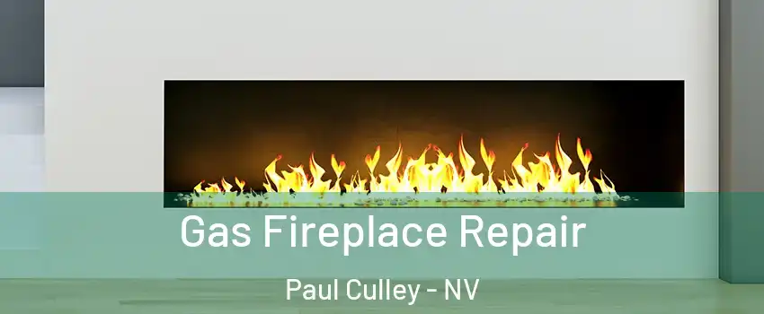 Gas Fireplace Repair Paul Culley - NV