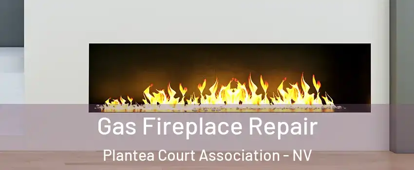 Gas Fireplace Repair Plantea Court Association - NV