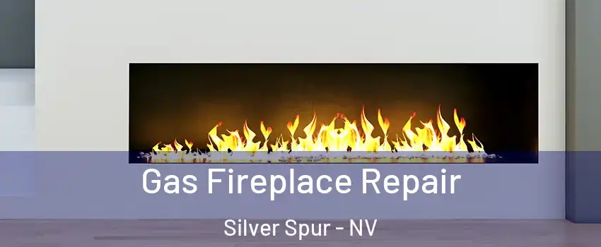 Gas Fireplace Repair Silver Spur - NV