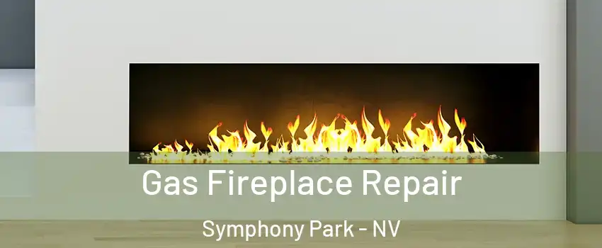 Gas Fireplace Repair Symphony Park - NV