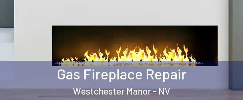 Gas Fireplace Repair Westchester Manor - NV