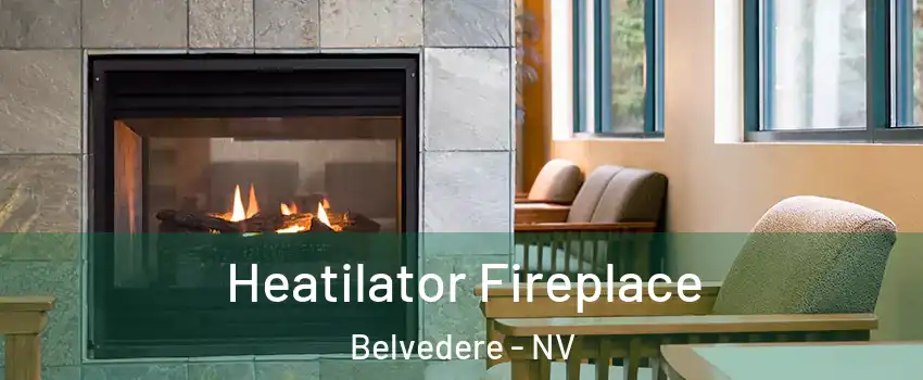 Heatilator Fireplace Belvedere - NV