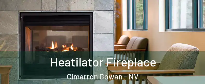 Heatilator Fireplace Cimarron Gowan - NV