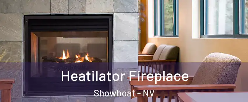 Heatilator Fireplace Showboat - NV